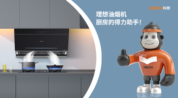 理想油煙機(jī)：廚房的得力助手！